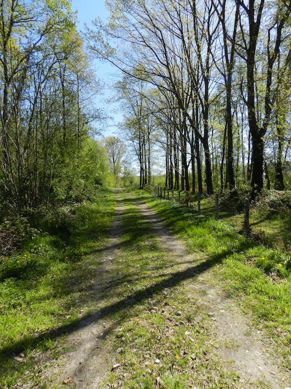 B&B Le Bois De Champia Юі Екстер'єр фото