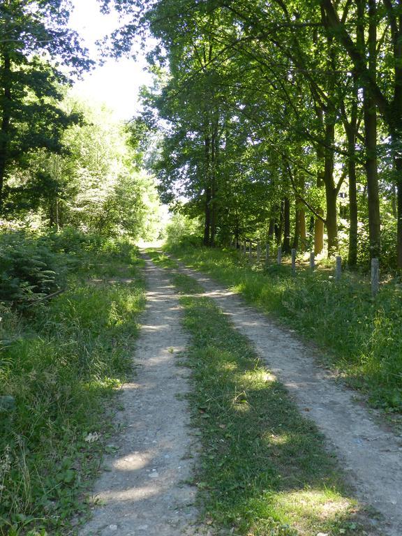 B&B Le Bois De Champia Юі Екстер'єр фото